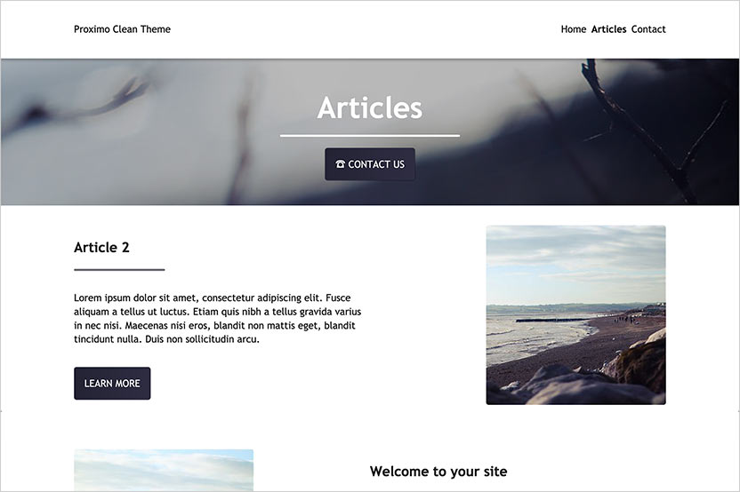 Proximo Clean Theme - Article Landing